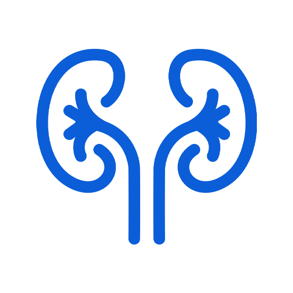 Dra. Ver&oacute;nica Espinosa Cruz