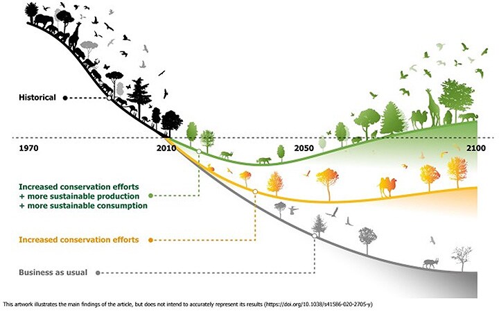 biodiversity curve
